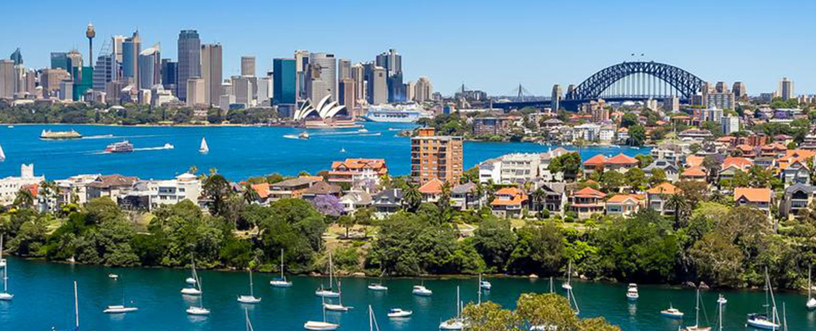 North Shore Camalot Fencing